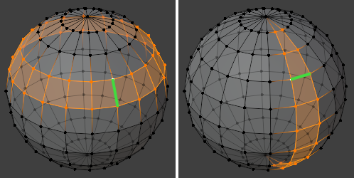 ../../../_images/modeling_meshes_selecting_loops_edge-ring_vertex-mode.png